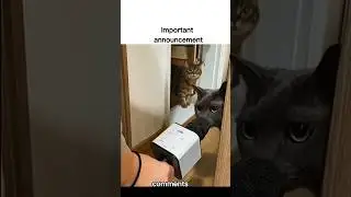 Important announcement memes