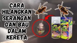 Cara hilangkan serangga dan bau dalam Kereta