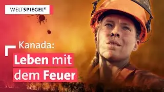 Helden am Limit: Feuerwehrleute im Einsatz gegen Kanadas Waldbrände  | Weltspiegel