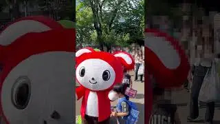 北海道 まいぜんシスターズ×ノースサファリサッポロ