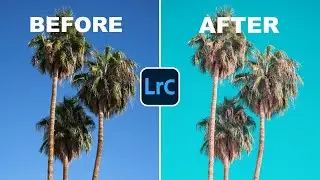 FREE Lightroom Preset | Palm Springs - Before & After