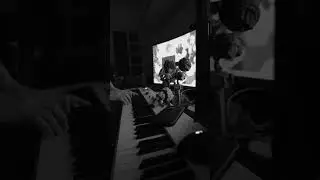 becausei'mstupid - pianocover