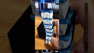 Augmented reality 3D model derived from an MRI