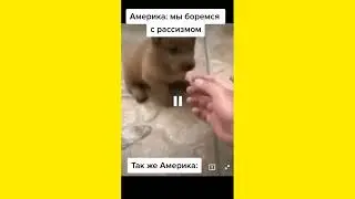 мем#7