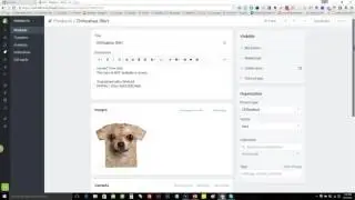 Dynamic Product Ads Facebook & Shopify Setup