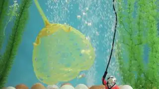 foodpod™ Teaser Video - Shark