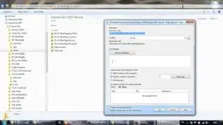 How to use create svn branch