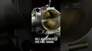 AlphaThrottle Bodies - B/D/F/H Series