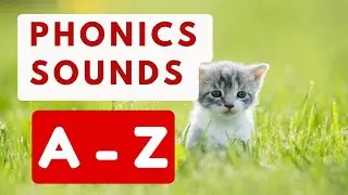 A - Z PHONICS SOUNDS | A to Z ALPHABET LETTER SOUNDS for Kids | Phonics Reading