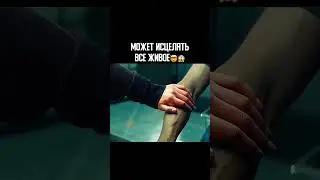 НАЗВАНИЕ ФИЛЬМА В КОММЕНТАХ✅ #целитель #кинофильмы #суперспособности #фильм #shorts