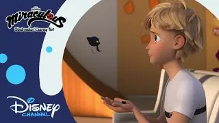 🙀 Nowy Czarny Kot?! | Miraculous: Biedronka i Czarny Kot | Disney Channel Polska