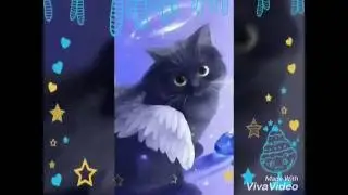 обои для телефона