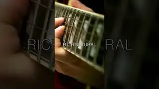 Acoustic vs Electric Guitars! 🎸