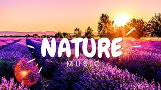𝐁𝐀𝐒𝐒🍁 𝐁𝐎𝐎𝐒𝐓𝐄𝐃 🍀𝐍𝐀𝐓𝐔𝐑𝐄 𝐕𝐈𝐁𝐄𝐒 🍀 𝐌𝐈𝐗 𝐌𝐔𝐒𝐈𝐂