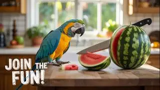 3 Epic Fruit-to-Animal Morphs! | Ultimate Morph Compilation