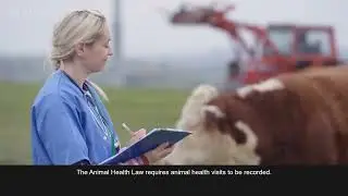 Animal Health Visits
