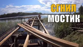 Сгнил мостик - пришло время лиственницы?