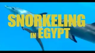 The Beauty of the Red Sea - Snorkeling Egypt - DOLPHINS!