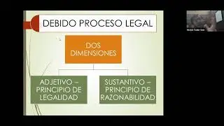 179 - Clase 6° - Debido proceso sustantivo - 1° parte