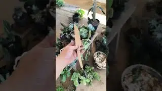 TAKEDOWN #hunter #hunterknife #cutlery