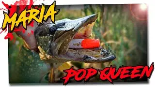 The best popper for pike - Popper Maria Pop Queen - A review of baits