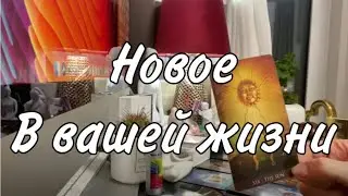 Что нового произойдет в вашей жизни? Таро расклад
