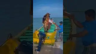 Boat ride(JACK)♥️