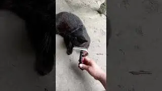 Сначала красота!