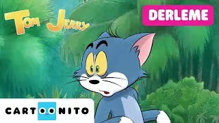 TOM VE JERRY | Renkli Kovalamaca 