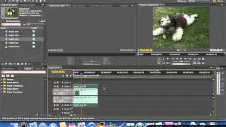 Creating a Picture in Picture (PiP) Effect - Adobe Premiere Pro CS5 Video Tutorials