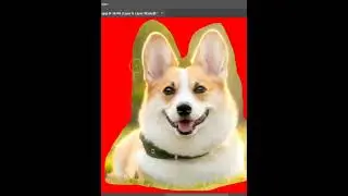 best way to remove complex background in photoshop #photoshop #short