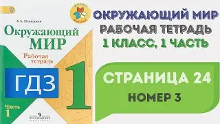Окружающий мир. Рабочая тетрадь 1 класс 1 часть. ГДЗ стр. 24 №3