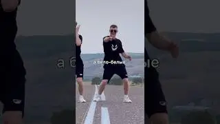 А бело-белые ромашки