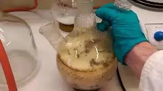 Crème brûlée