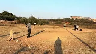 Cricket