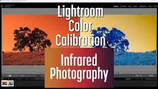 Infrared Photo edit with Lightroom Color Calibration