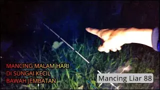 MANCING MALAM HARI DI SUNGAI KECIL BAWAH JEMBATAAN