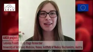 Ludovica Proietti, Early Stage Researcher - ARCH Project (English Version)