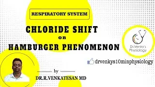 Chloride Shift or Hamburger phenomenon