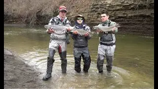 Spring Run Erie Steelhead