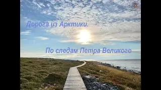 Дорога из Арктики. По следам Петра Великого. Путешествие по дорогам русского севера