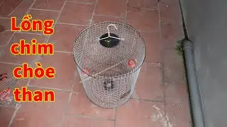 Cách làm Lồng Chim bằng vỏ Quạt hỏng cực đẹp | Cá Mập TV