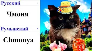 Чмоня на разных языках мем
