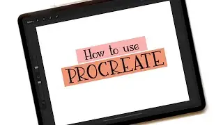 How to use Procreate: Introduction to Procreate for Beginners