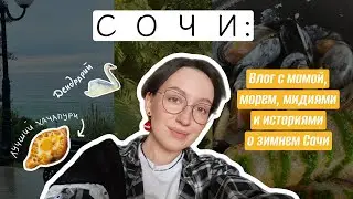 ЗИМНИЙ СОЧИ/ ВЛОГ ПРО МОРЕ,МАМУ И ТРИ СЧАСТЛИВЫХ ДНЯ