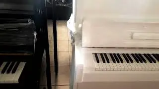 Yamaha & Kawai at Jolly Music Ardea