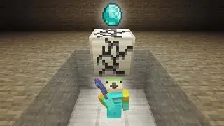 I Stole Minecraft's Rarest Diamond