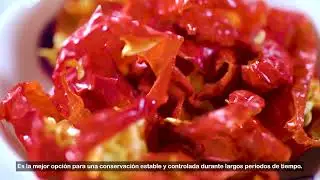 Incubalab - Deshidratadora