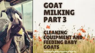 Episode 3 how I Clean milking machine system milk lines and equipment and teat cup after milking