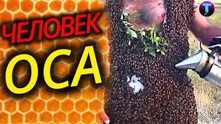 🐝Человек ОСА в Реальной Жизни!